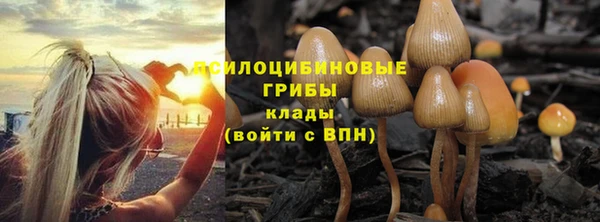 бутират Белокуриха