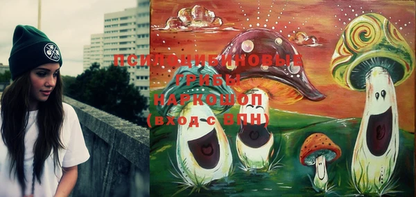 PSILOCYBIN Беломорск