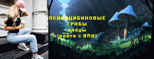 бутират Белокуриха