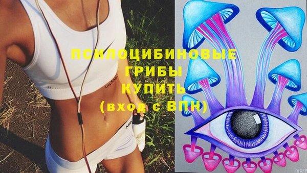 бутират Белокуриха