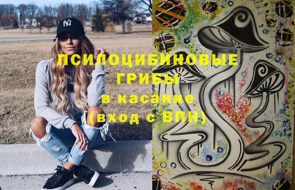 PSILOCYBIN Беломорск