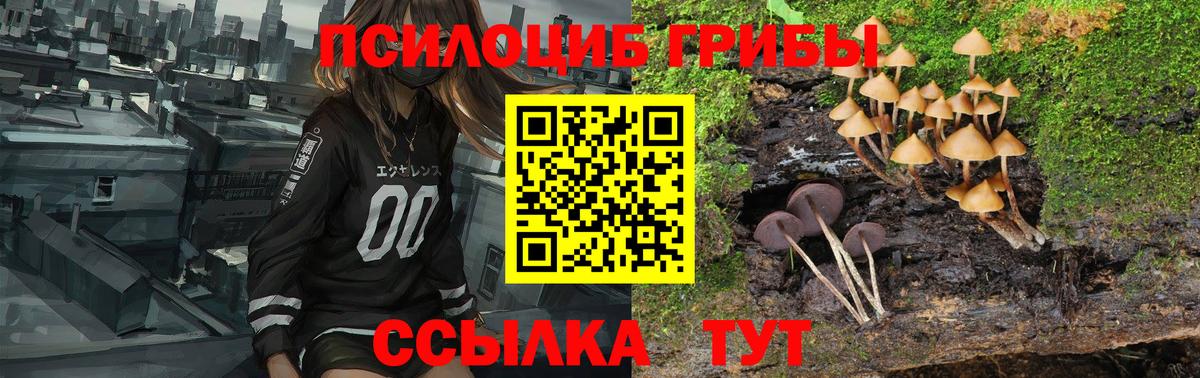 Псилоцибиновые грибы мухоморы  Вход с VPN  Вязники 